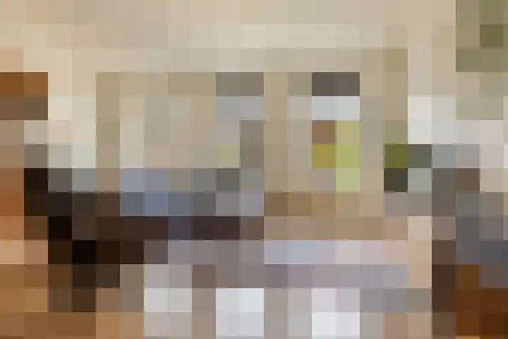 Willem Valkstraat 12 Groningen thumbnail 7