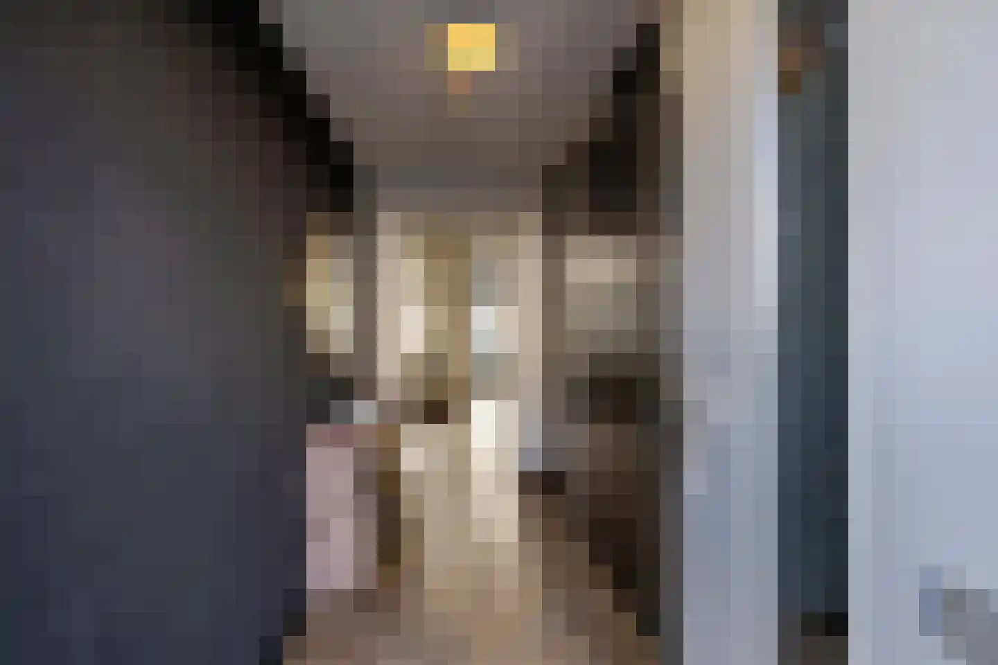 Willem Valkstraat 15 Groningen thumbnail 12