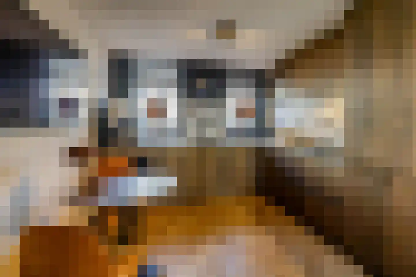 Willem Valkstraat 15 Groningen thumbnail 16