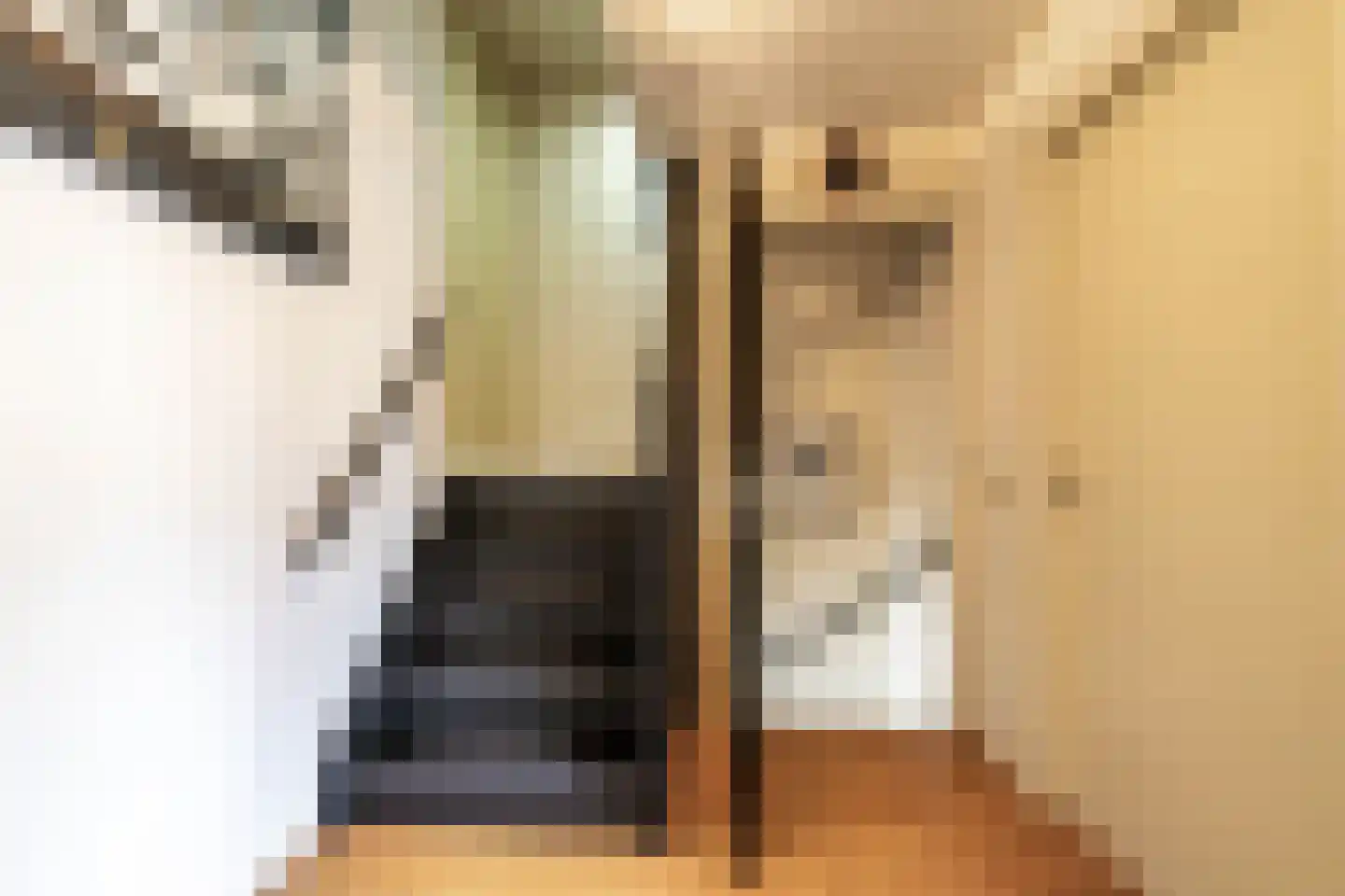 Willem Valkstraat 15 Groningen thumbnail 26