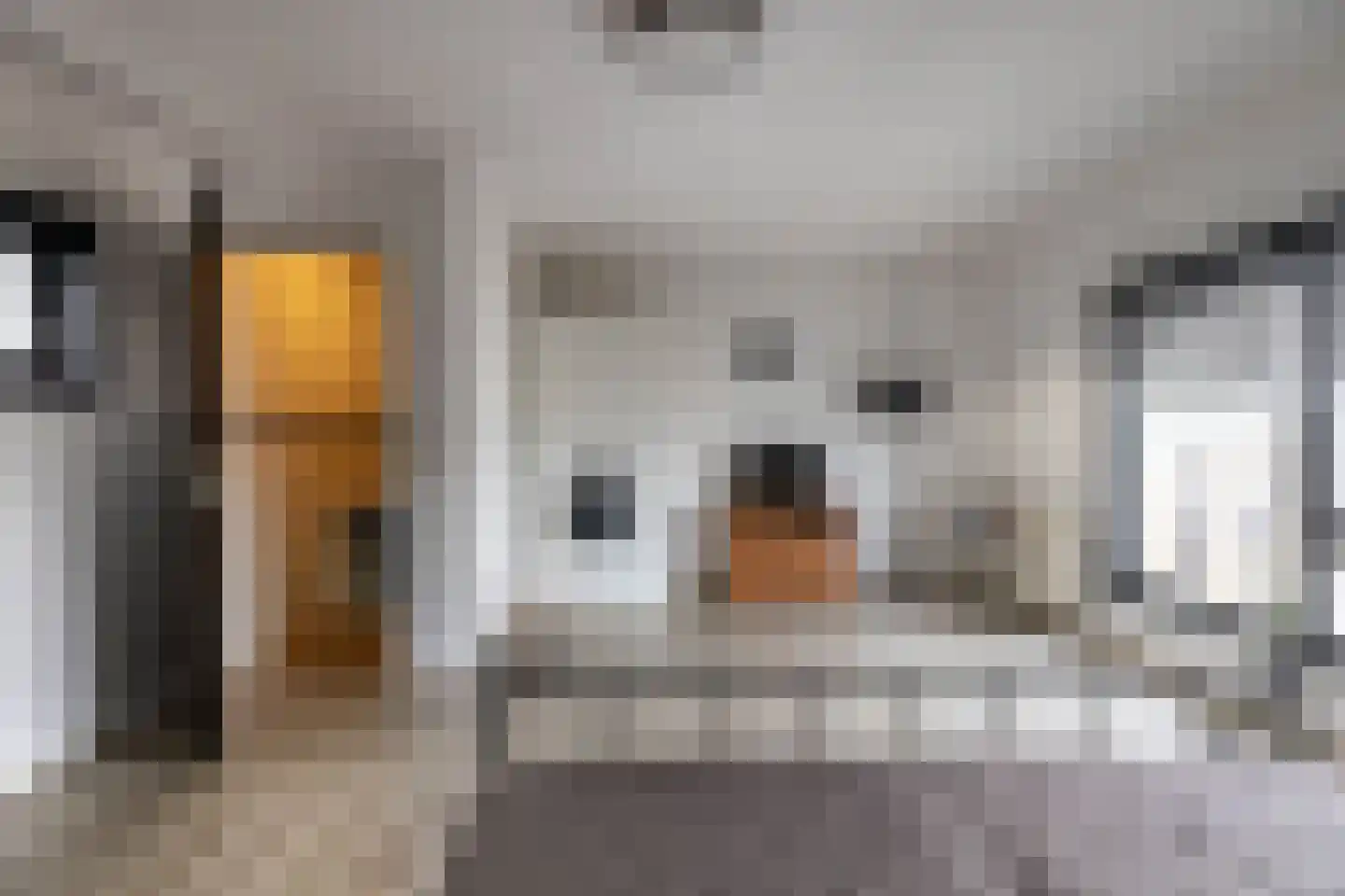 Willem Valkstraat 15 Groningen thumbnail 37