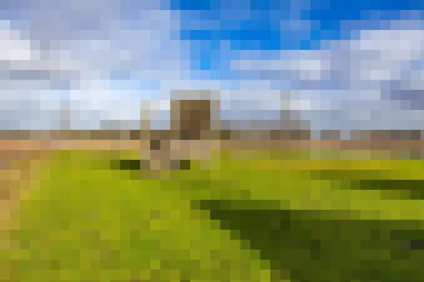 Willem Valkstraat 15 Groningen thumbnail 50