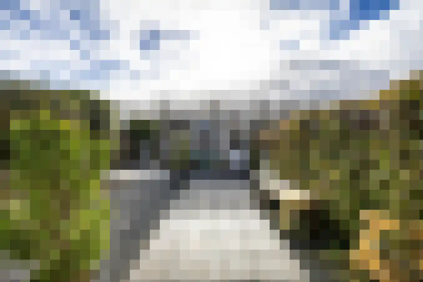 Willem Valkstraat 15 Groningen thumbnail 7