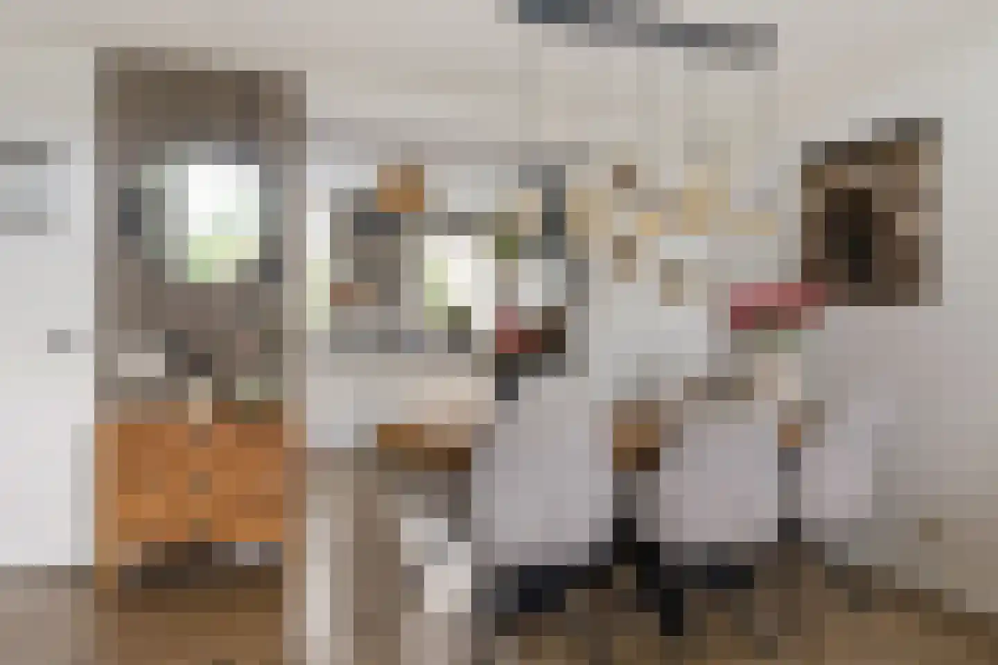 Willem Valkstraat 9 Groningen thumbnail 12