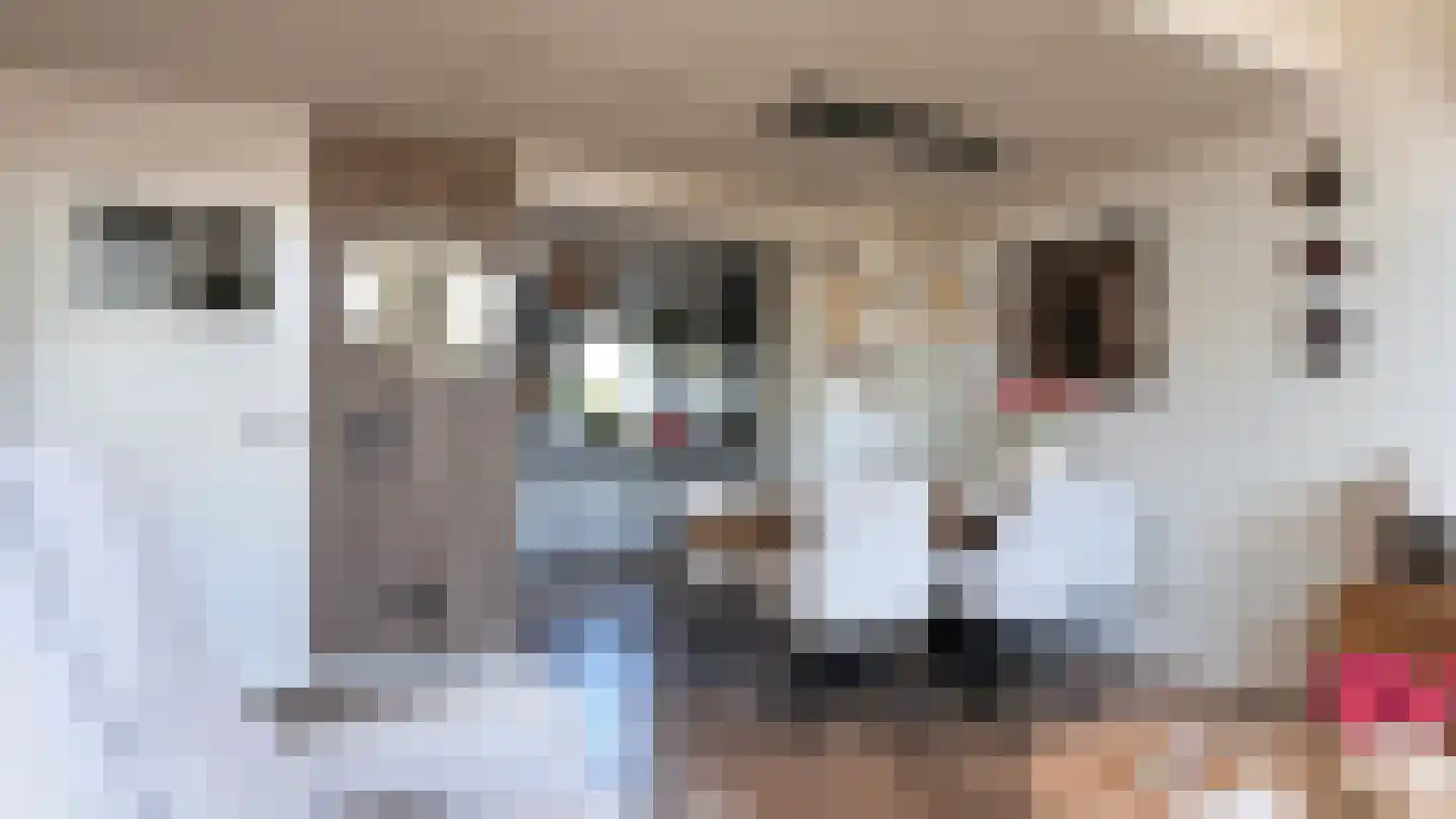 Willem Valkstraat 9 Groningen thumbnail 13
