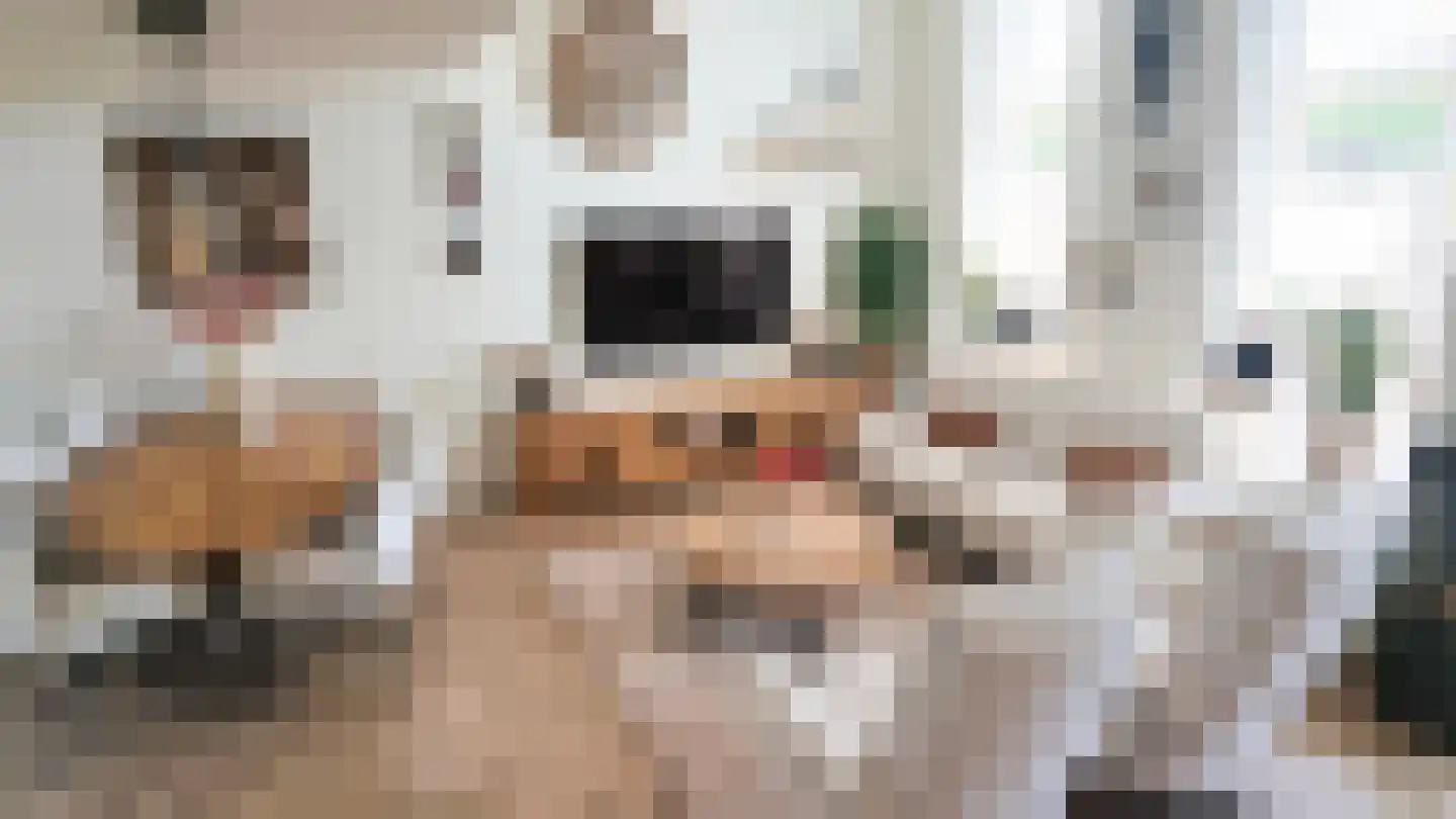 Willem Valkstraat 9 Groningen thumbnail 15