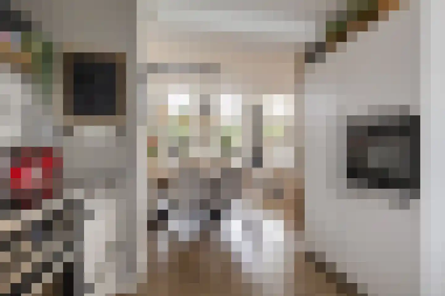 Willem Valkstraat 9 Groningen thumbnail 21