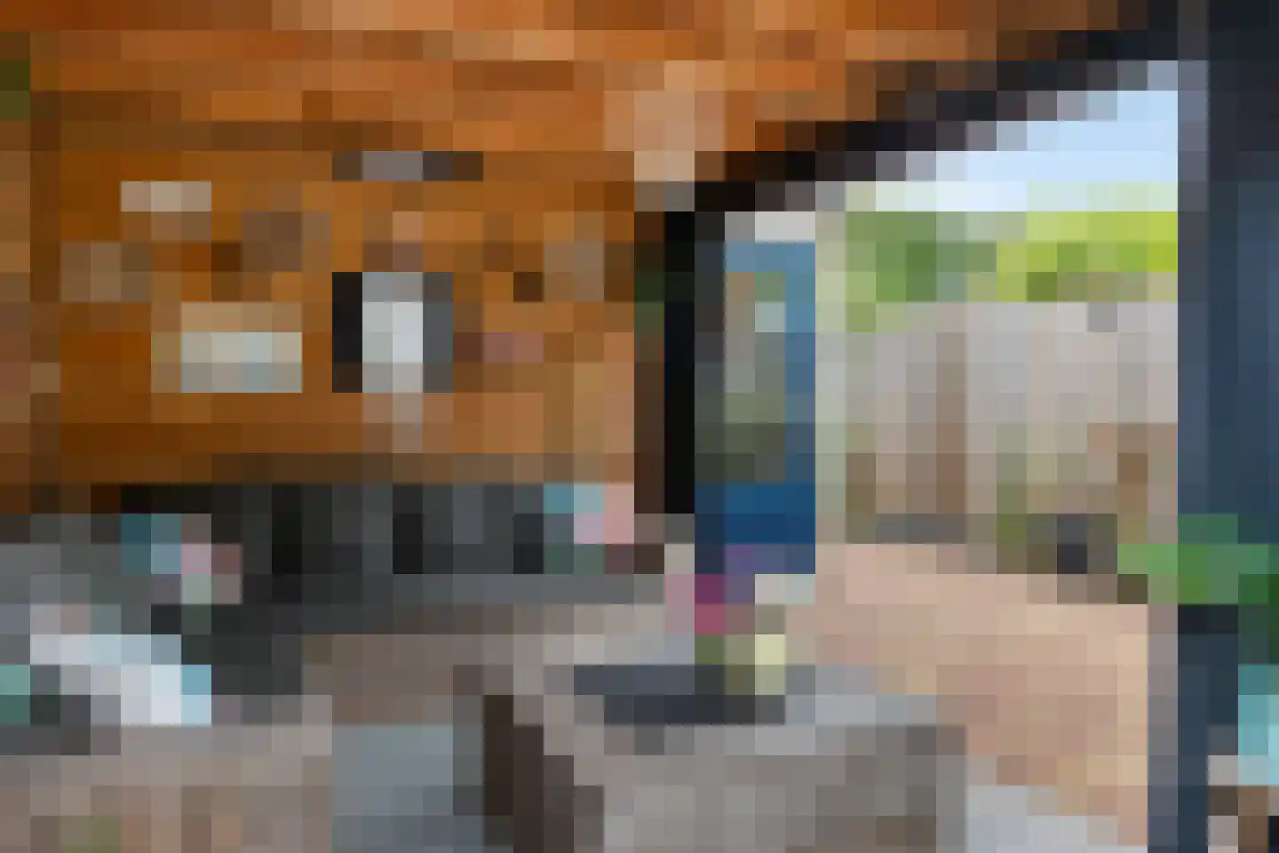 Willem Valkstraat 9 Groningen thumbnail 38
