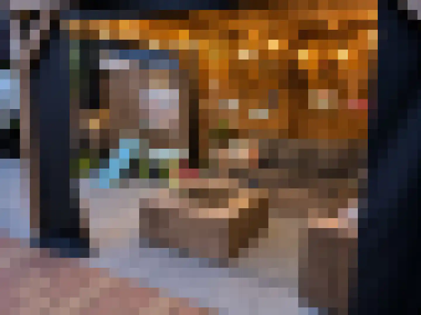 Willem Valkstraat 9 Groningen thumbnail 40