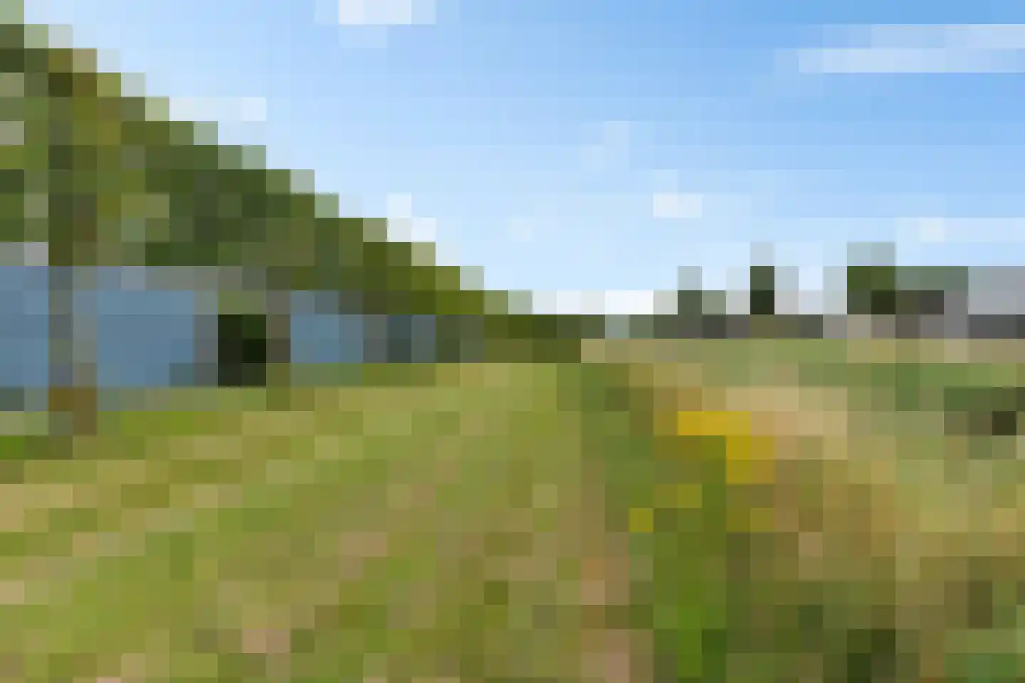 Willem Valkstraat 9 Groningen thumbnail 41