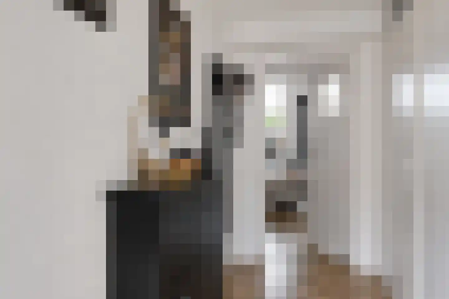Willem Valkstraat 9 Groningen thumbnail 9