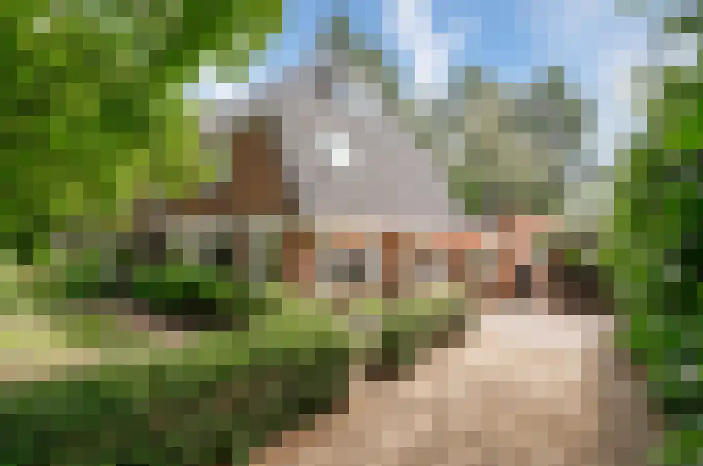Willem van Abcoudelaan 2 Driebergen-Rijsenburg
