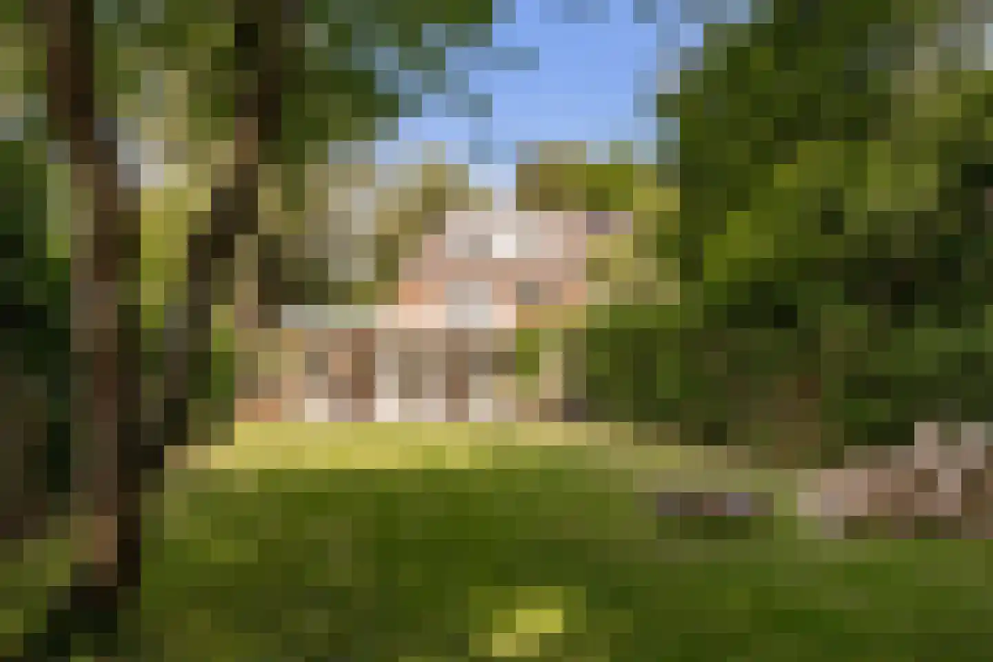 Willem van Abcoudelaan 2 Driebergen-Rijsenburg foto 3