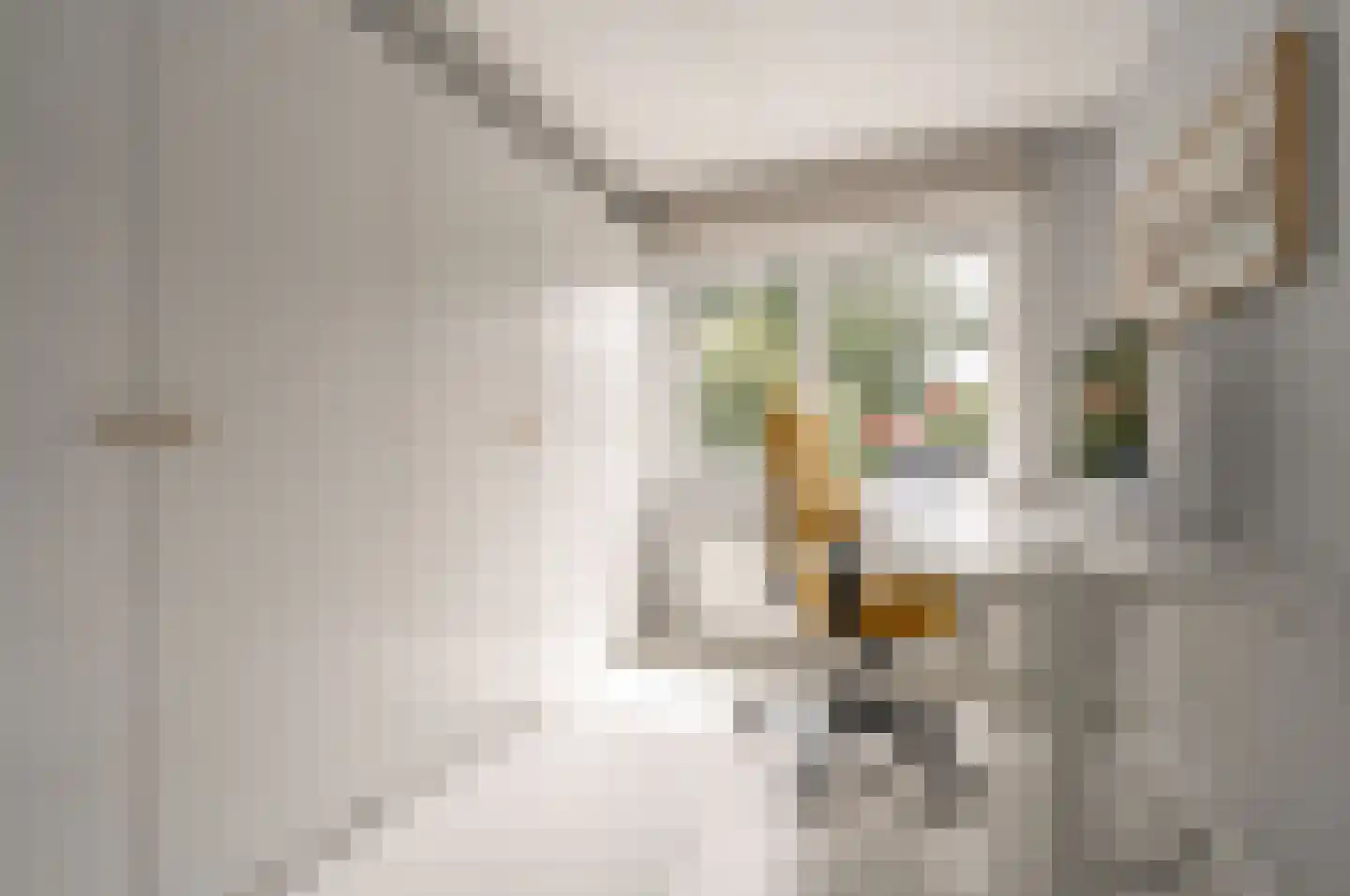 Willem van Abcoudelaan 2 Driebergen-Rijsenburg thumbnail 33