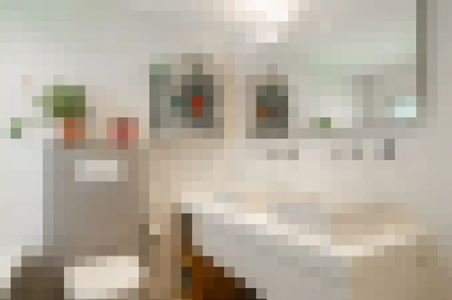 Willem van Abcoudelaan 2 Driebergen-Rijsenburg thumbnail 36