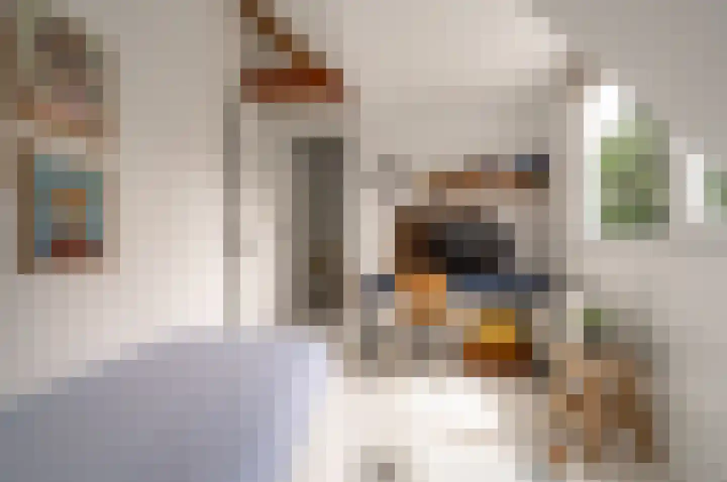 Willem van Abcoudelaan 2 Driebergen-Rijsenburg thumbnail 39