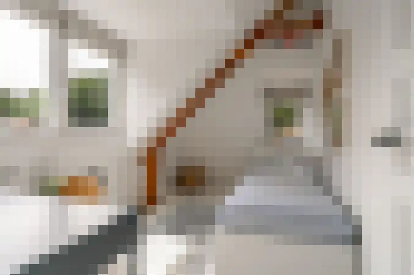 Willem van Abcoudelaan 2 Driebergen-Rijsenburg thumbnail 40