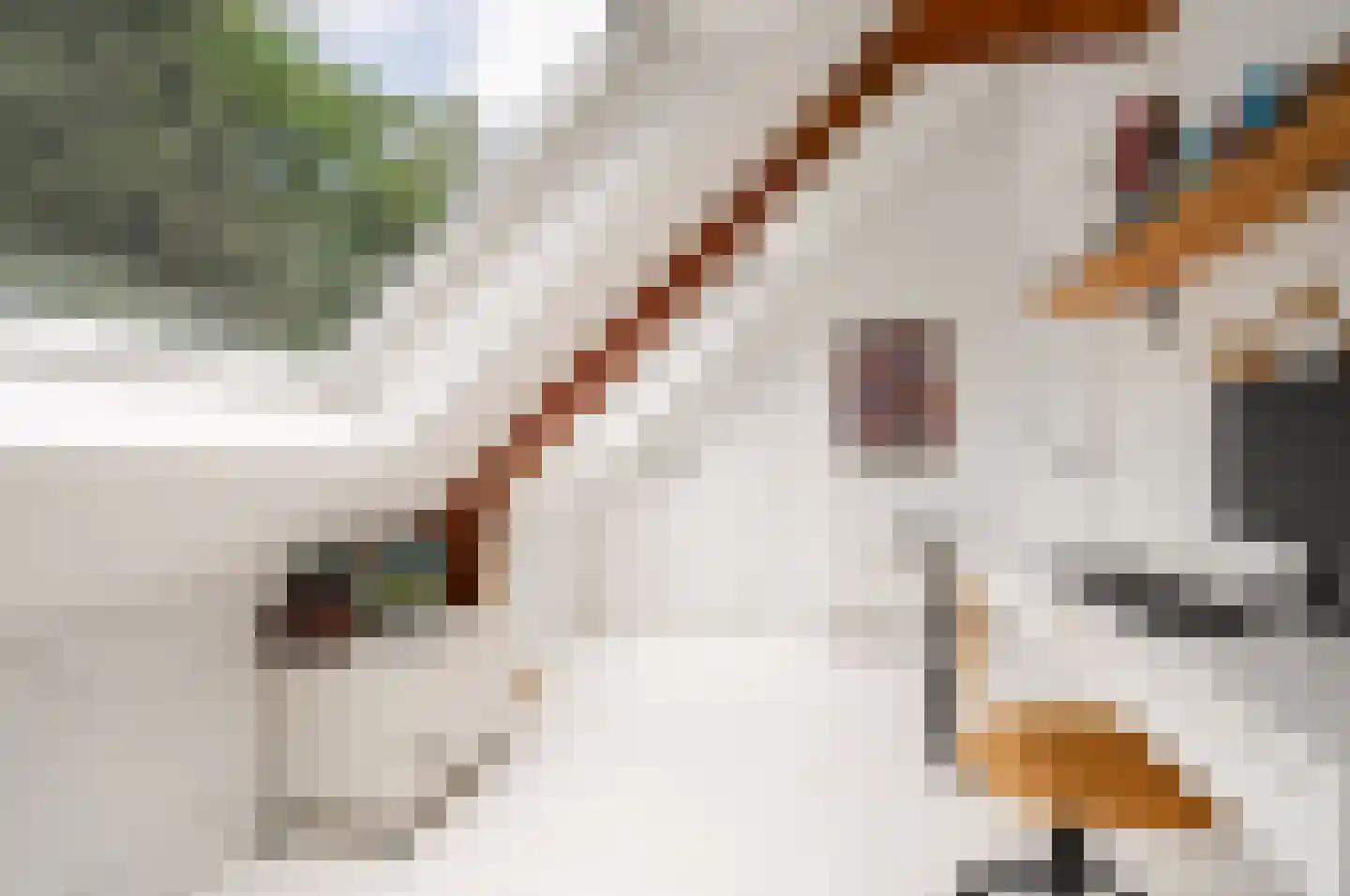 Willem van Abcoudelaan 2 Driebergen-Rijsenburg thumbnail 43