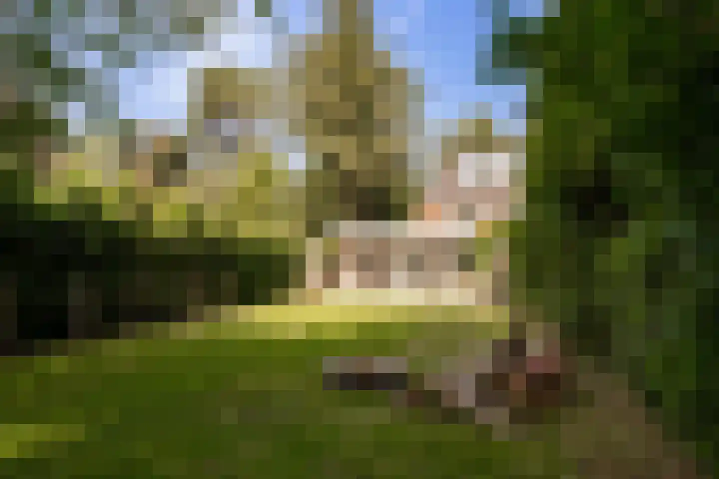 Willem van Abcoudelaan 2 Driebergen-Rijsenburg thumbnail 48