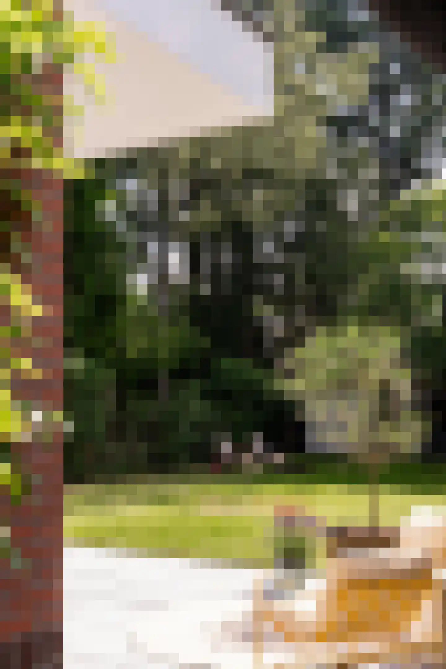 Willem van Abcoudelaan 2 Driebergen-Rijsenburg thumbnail 52