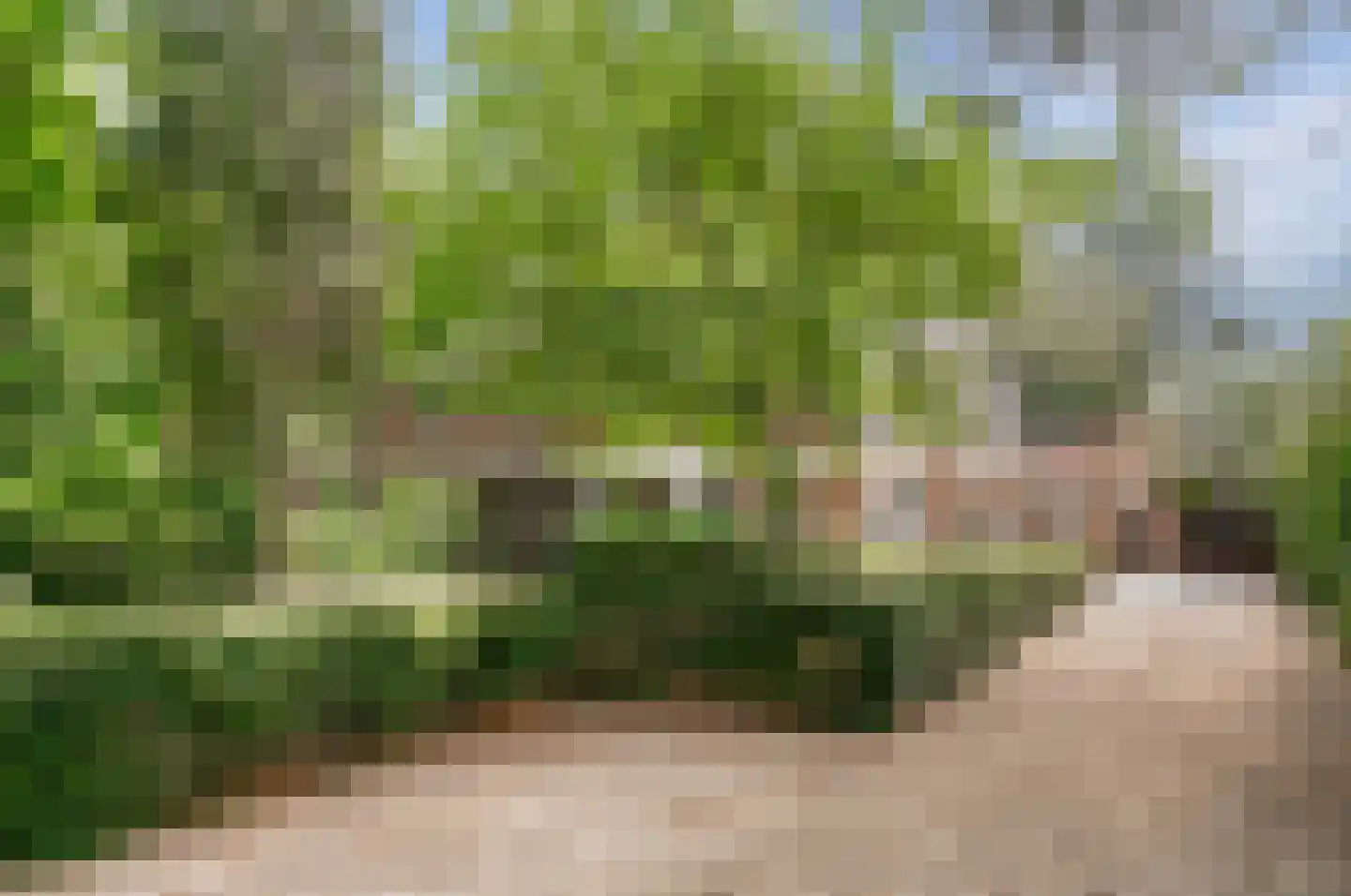 Willem van Abcoudelaan 2 Driebergen-Rijsenburg thumbnail 62