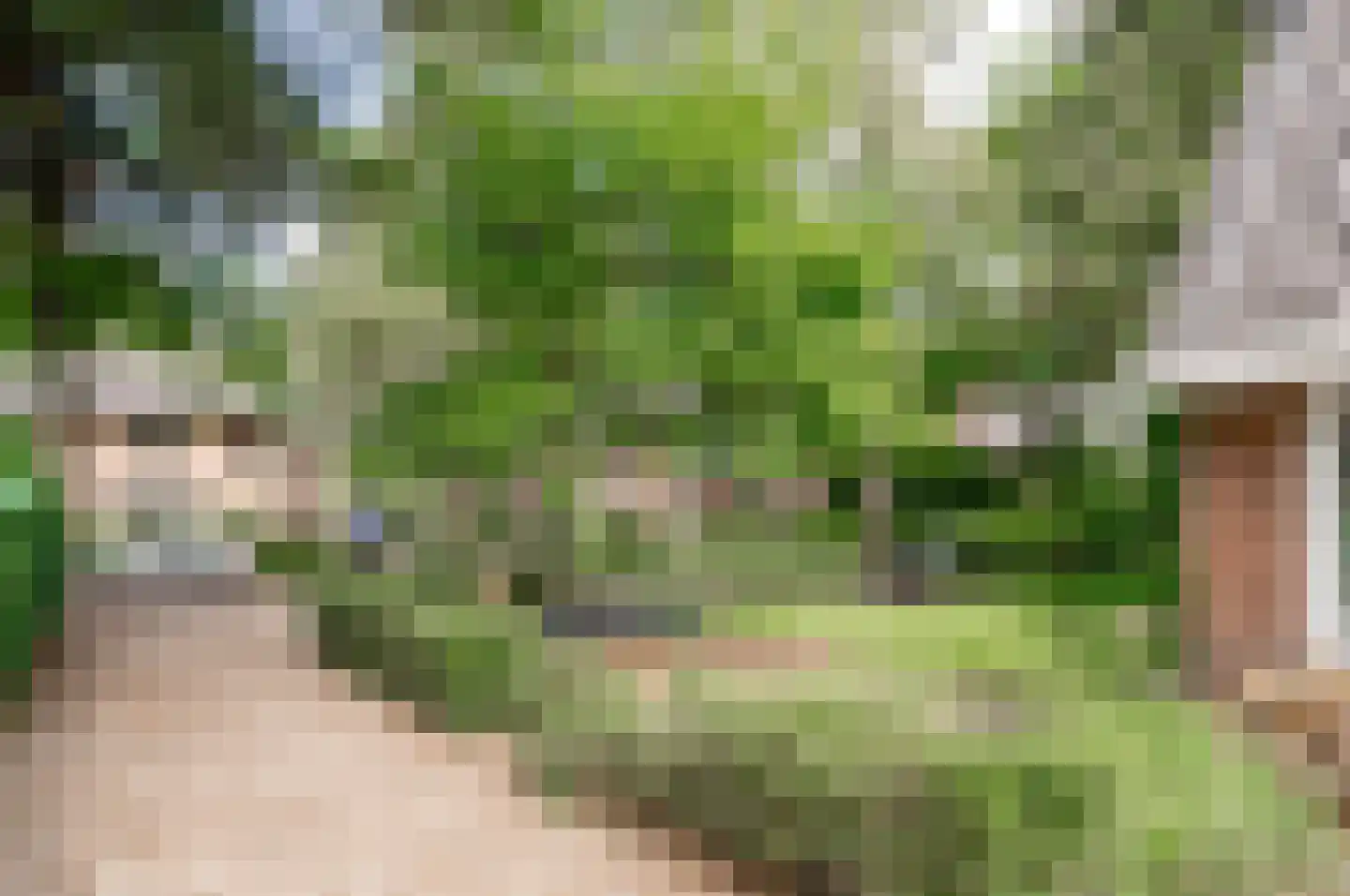 Willem van Abcoudelaan 2 Driebergen-Rijsenburg thumbnail 67