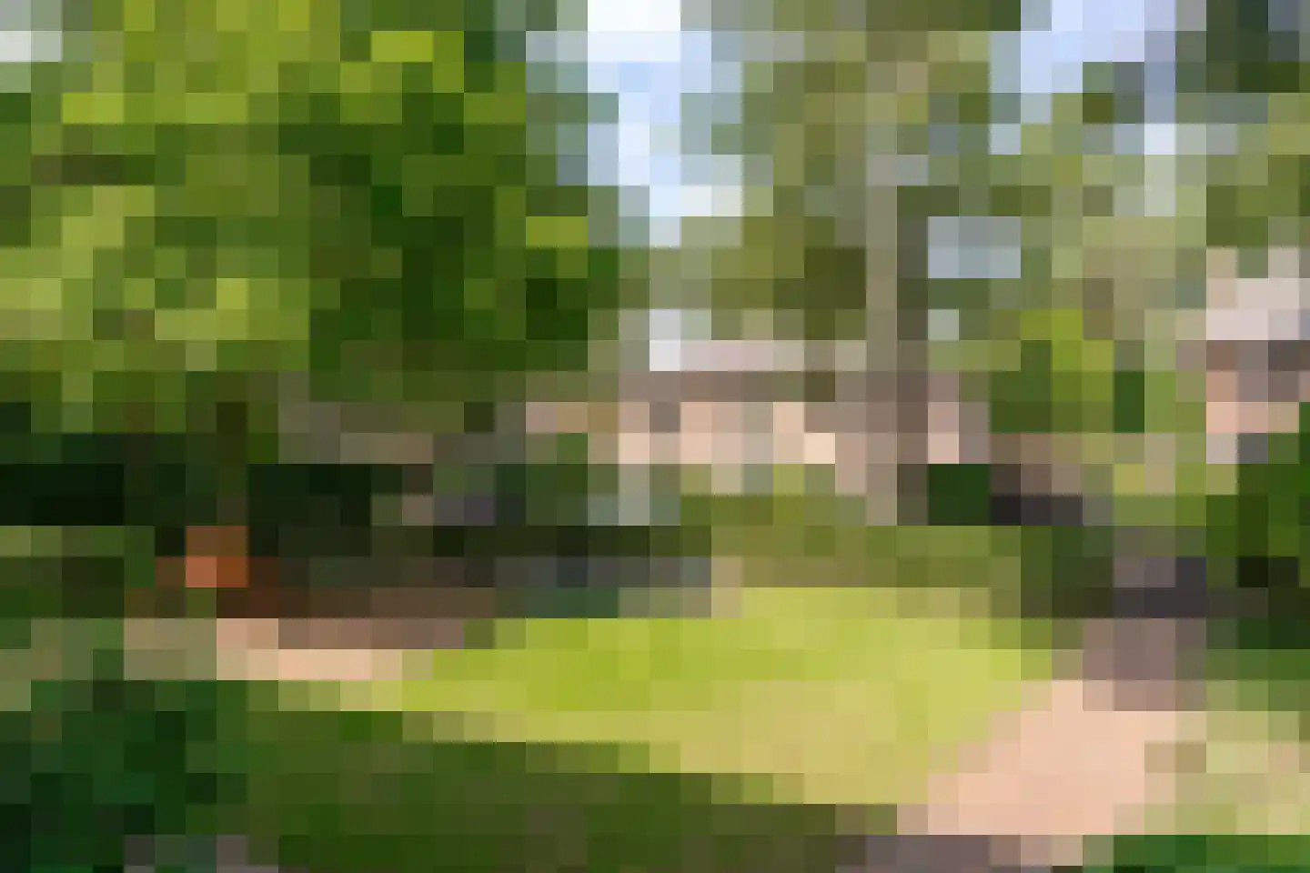 Willem van Abcoudelaan 2 Driebergen-Rijsenburg thumbnail 68