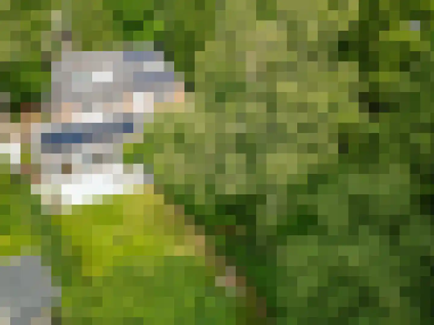 Willem van Abcoudelaan 2 Driebergen-Rijsenburg thumbnail 69
