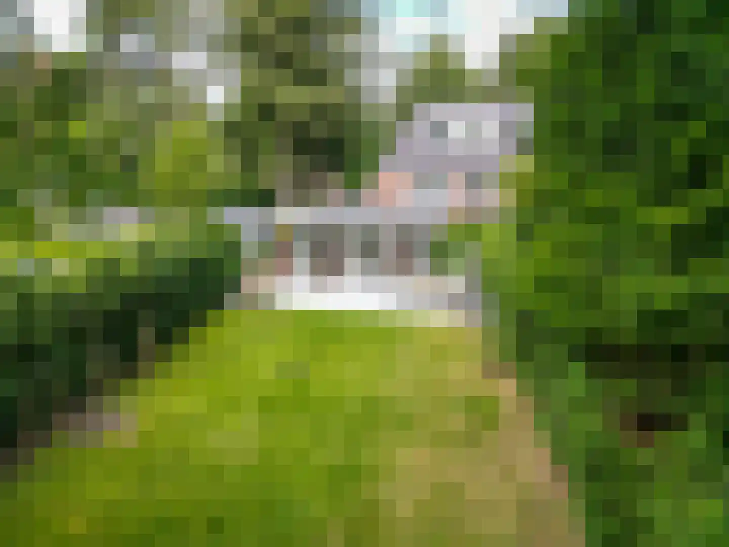 Willem van Abcoudelaan 2 Driebergen-Rijsenburg thumbnail 70