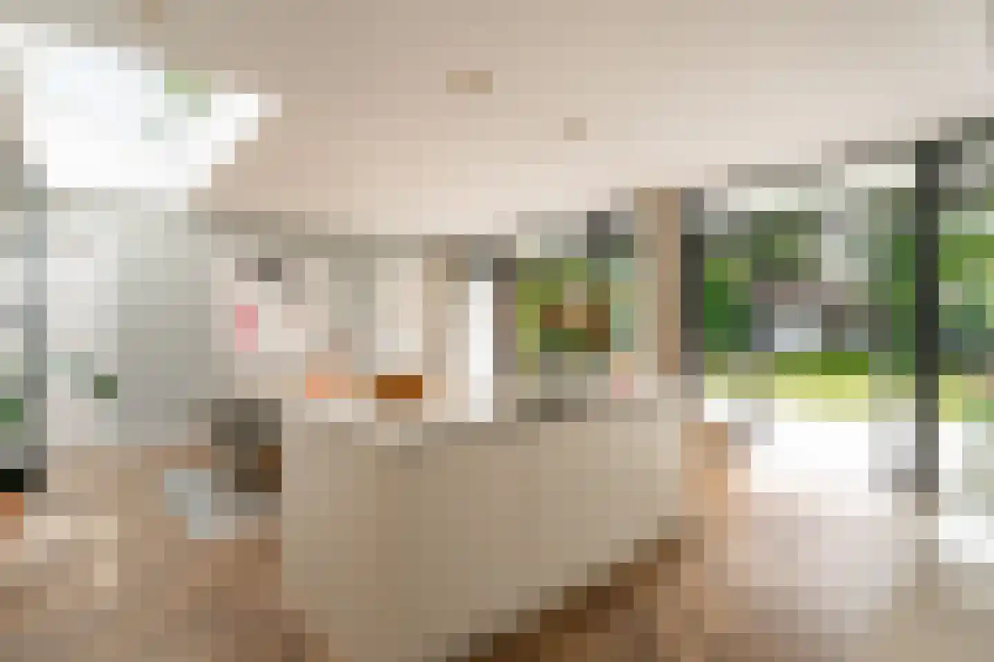 Willem van Abcoudelaan 2 Driebergen-Rijsenburg thumbnail 9