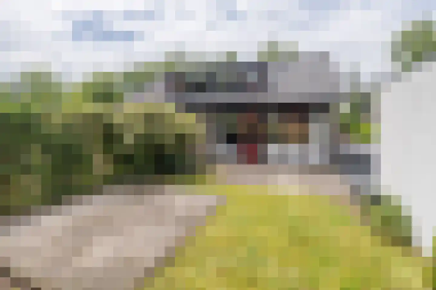 Willem van Abcoudelaan 25 Driebergen-Rijsenburg thumbnail 30