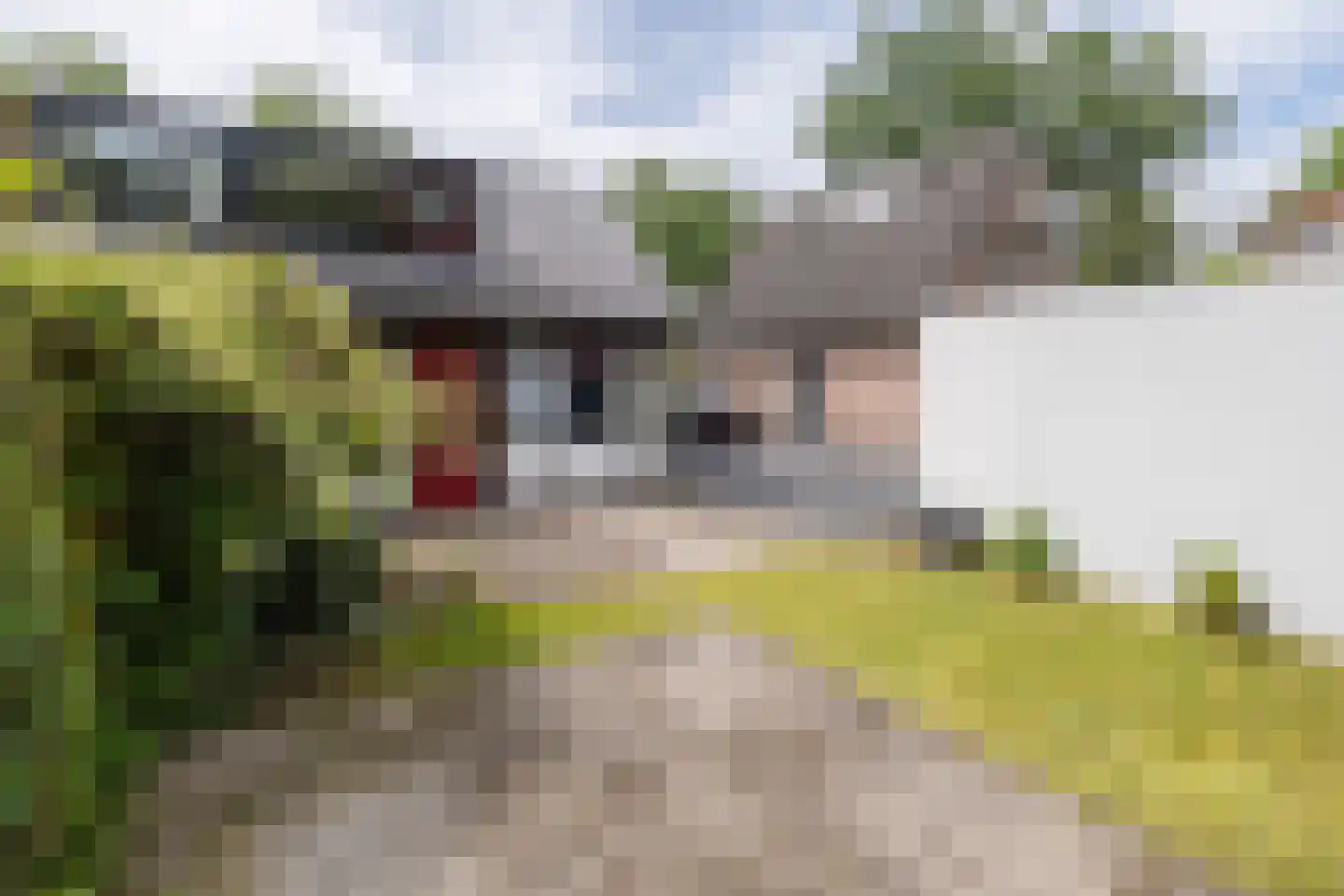 Willem van Abcoudelaan 25 Driebergen-Rijsenburg thumbnail 33