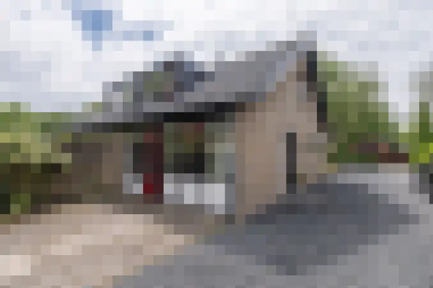 Willem van Abcoudelaan 25 Driebergen-Rijsenburg thumbnail 34