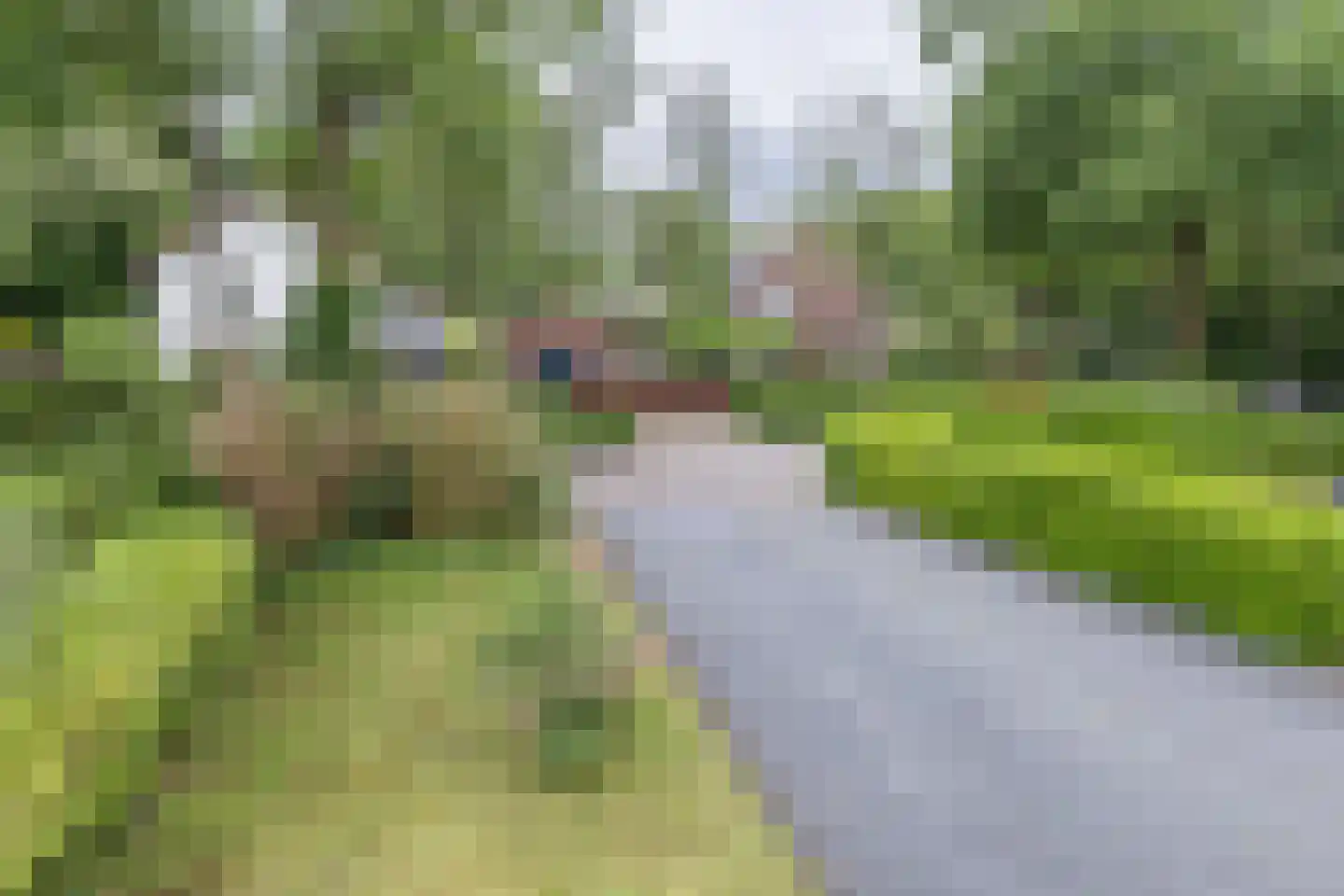 Willem van Abcoudelaan 25 Driebergen-Rijsenburg thumbnail 35