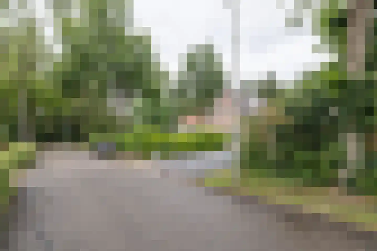 Willem van Abcoudelaan 25 Driebergen-Rijsenburg thumbnail 38