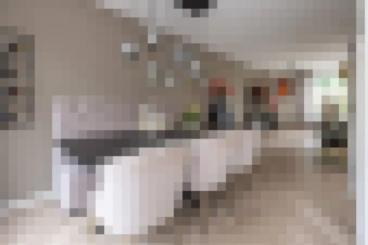 Willem van Abcoudelaan 25 Driebergen-Rijsenburg thumbnail 4