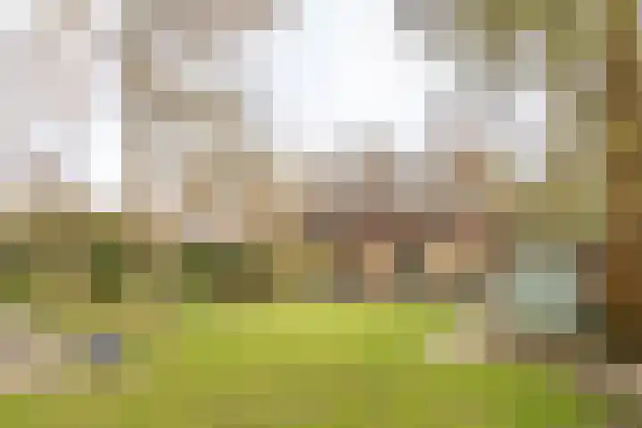 Willem van Abcoudelaan 5 Driebergen-Rijsenburg foto 3