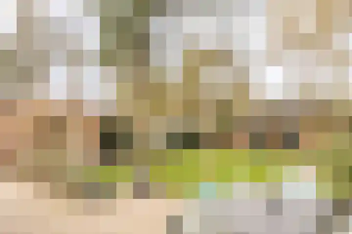 Willem van Abcoudelaan 5 Driebergen-Rijsenburg thumbnail 39