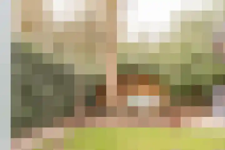 Willem van Abcoudelaan 5 Driebergen-Rijsenburg thumbnail 41
