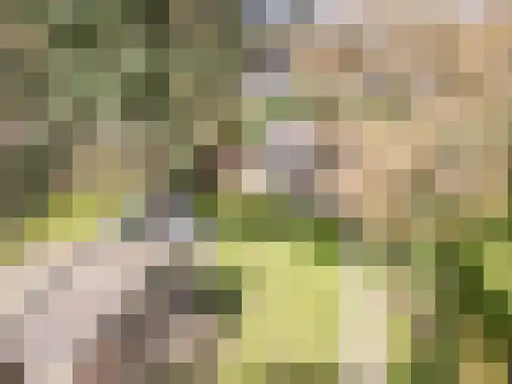 Willem van Abcoudelaan 5 Driebergen-Rijsenburg thumbnail 42