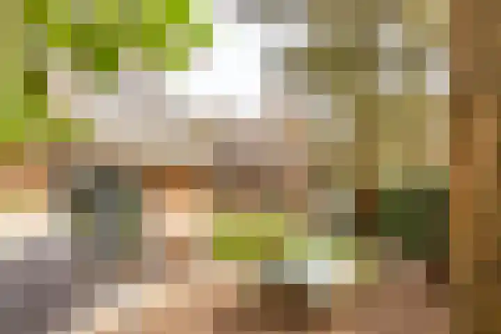 Willem van Abcoudelaan 5 Driebergen-Rijsenburg thumbnail 43