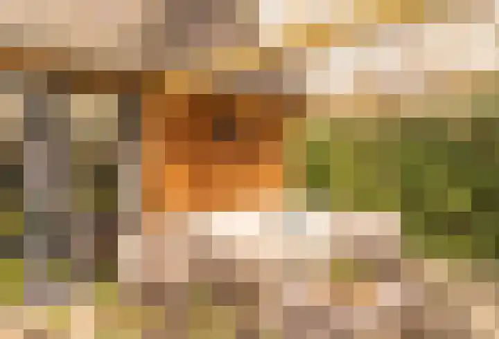 Willem van Abcoudelaan 5 Driebergen-Rijsenburg thumbnail 44