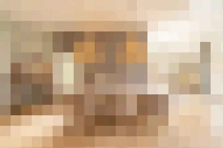 Willem van Abcoudelaan 5 Driebergen-Rijsenburg thumbnail 5
