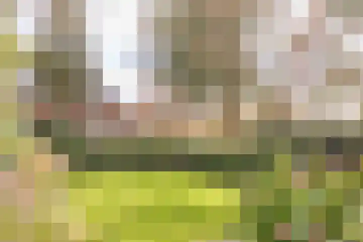 Willem van Abcoudelaan 5 Driebergen-Rijsenburg thumbnail 56