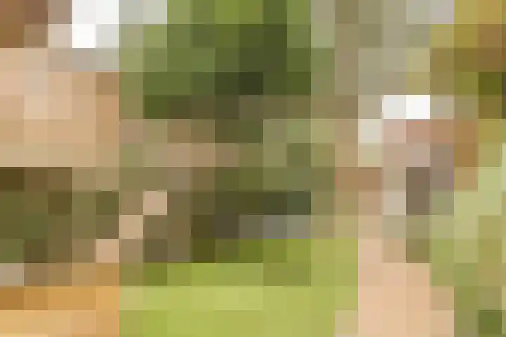 Willem van Abcoudelaan 5 Driebergen-Rijsenburg thumbnail 57