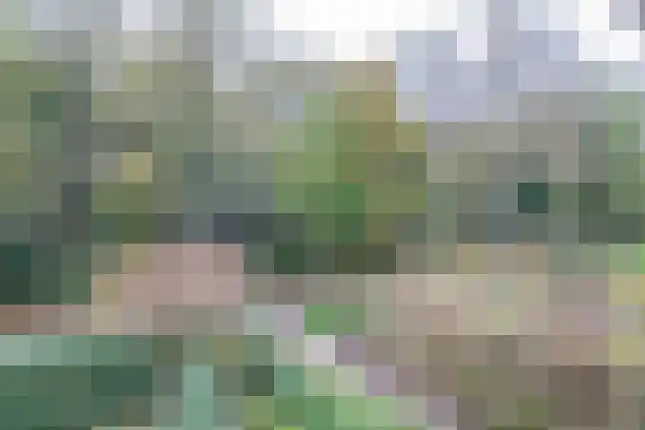 Willem van Abcoudelaan 58 Driebergen-Rijsenburg thumbnail 27