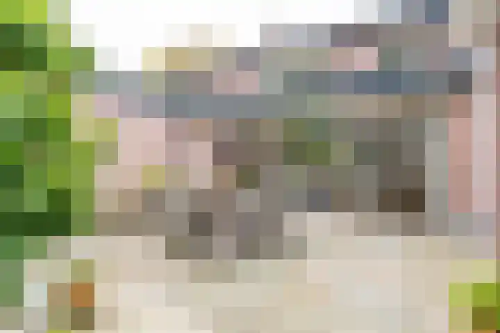 Willem van Abcoudelaan 58 Driebergen-Rijsenburg thumbnail 33