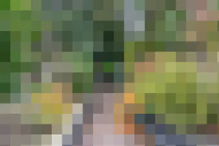 Willem van Abcoudelaan 58 Driebergen-Rijsenburg thumbnail 35