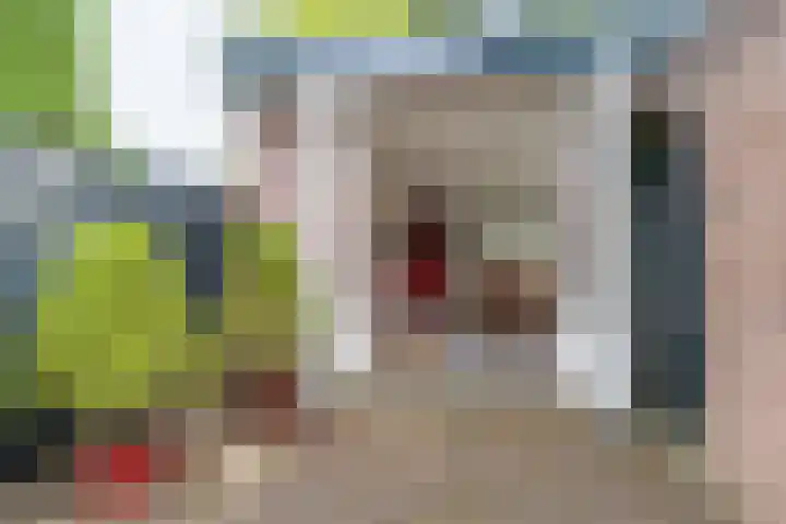 Willem van Abcoudelaan 58 Driebergen-Rijsenburg thumbnail 42