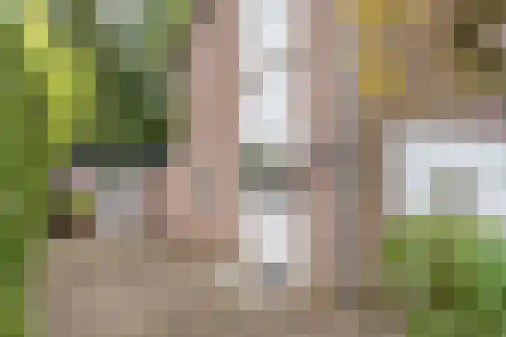 Willem van Abcoudelaan 58 Driebergen-Rijsenburg thumbnail 52